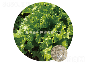 ������ȹ-���˷N��-�ݺͷN�I(y��)