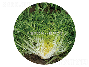 С�~����-���ķN��-�ݺͷN�I(y��)