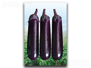 AAA��������-���ӷN��-�������r�I