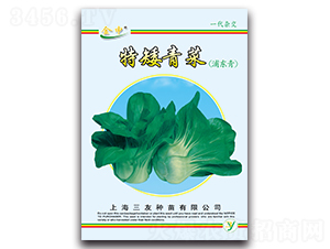 �ذ����-��˷N��-����