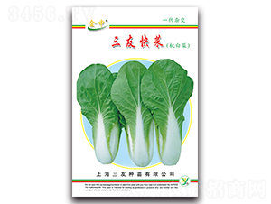 ���ѿ��-��˷N��-����