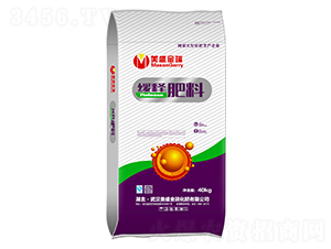 ��ጷ���-��ʢ����