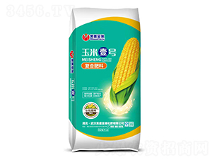 ���׌��Ï�(f��)�Ϸ���-��ʢ����