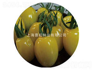 �S����-С���ѷN��-�ݺͷN�I