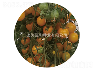 �S��16-С���ѷN��-�ݺͷN�I(y��)