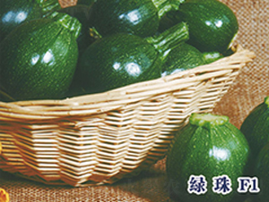 �G��F1-�����J�N��-ʥ�A���S