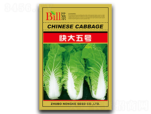 �����̖-��˷N��-�Ƞ�