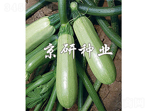 ����1̖-�����J�N��-����