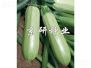 ����3̖-�����J�N��-����