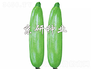 ���8̖-�����J�N��-����