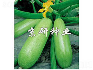 ����12̖-�����J�N��-����