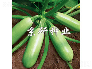 ����-�����J�N��-����