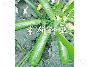 ����CRV4-2-�����J�N��-����