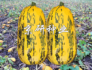 �������S3̖(h��o)-�����J�N��-����