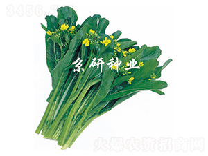 ����1̖-���ķN��-����