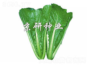 �G��3̖-��˷N��-����