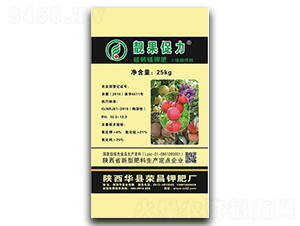 �����{(di��o)�턩-�n������-�s��