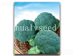 ��ɽ-���m���N��-�A�G