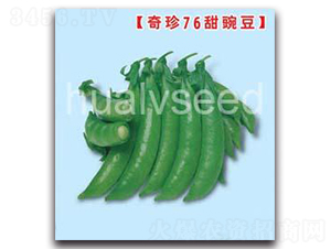 華綠76甜豌豆-甜豌豆種子-華綠
