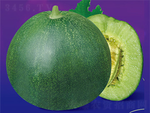 ���O��-��ϷN��-����N�I