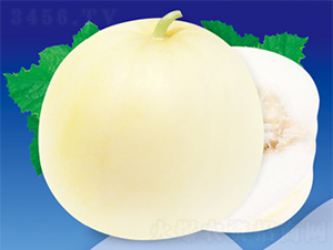 �����ŵ�-��ϷN��-����N�I