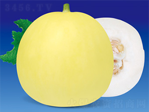 ������-��ϷN��-����N�I