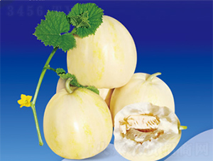 ����666-��ϷN��-����N�I