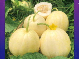 ������-��ϷN��-����N�I