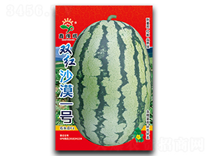 �p�tɳĮһ̖-���ϷN��-ԥ�x�N�I