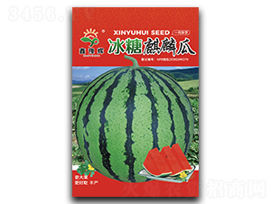 ���������-���ϷN��-ԥ�x�N�I