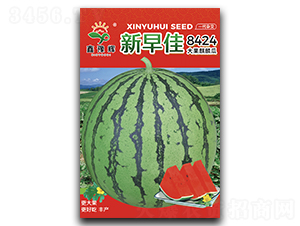 新早佳-西瓜種子-豫輝種業