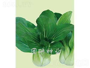 �����๣��-�Ͳ˷N��-���зN�I