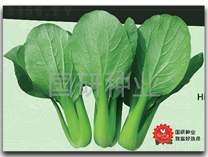 �;G302-�Ͳ˷N��-���зN�I