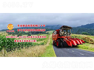 2021��4YZ-4W/4WA����ʽ�����ի@�C-���ի@