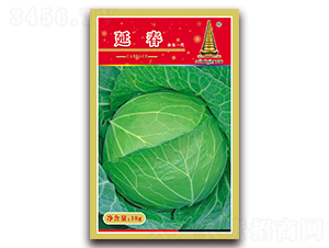 �Ӵ�-���{�N��-�н��r�I