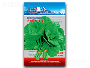 ���~ľ����-ľ���˷N��-�����_