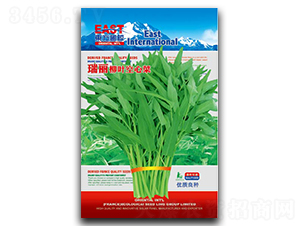 �������~���Ĳ�-���Ĳ˷N��-�����_