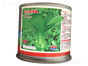 ���m�¾Gʢ�����b��-�Ͳ˷N��-�����_