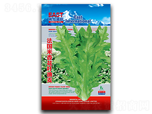 �������㻨�~����-�����˷N��-�����_