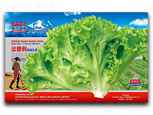 ��������������-���˷N��-�����_