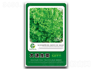 ��������-���˷N��-�����_