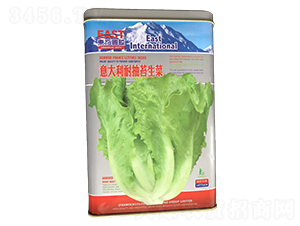 ������ͳ�̦���ˣ��ޣ�-���˷N��-�����_