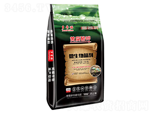 �S�����΢�������-�����Z-�Մ�