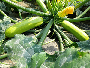 �A��901-�����J�N��-����r�I