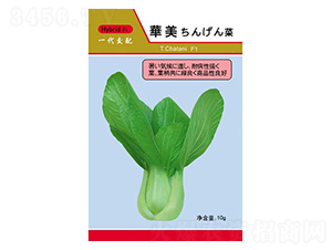 �A��-��˷N��-�P���r�I