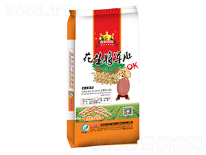 �������15-15-10-������܊��-�ο�