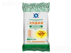 ��ጓ������25-11-10-��l�ʘI