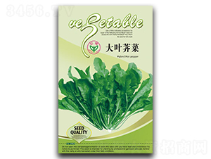 ���~�j��-�j�˷N��-�����N�I