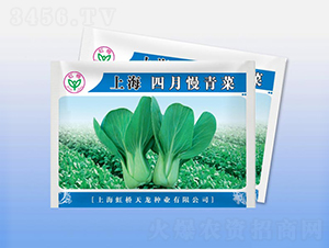 �Ϻ����������-�๣�˷N��-�����N�I