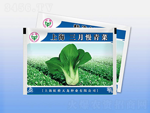 �Ϻ����������-�๣�˷N��-�����N�I